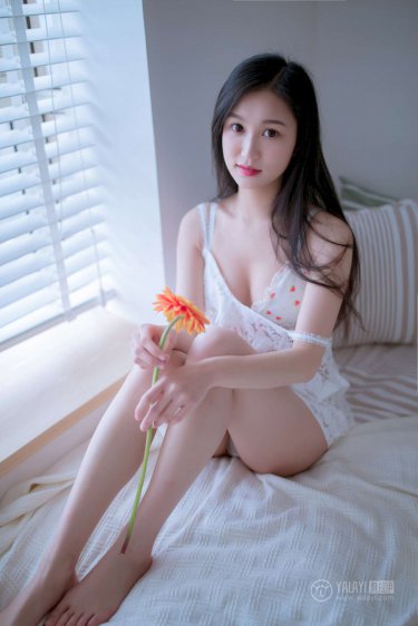 陆家小媳妇小说